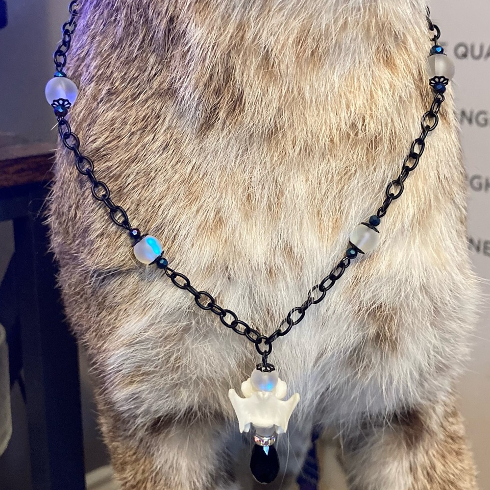 taxidermy necklace